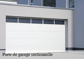 Porte de garage sectionnella Seine-Saint-Denis 