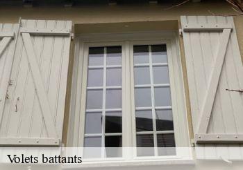 Volets battants  93300