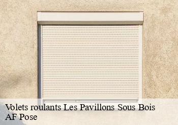 Volets roulants  93320