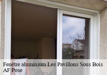 Fenêtre aluminium  93320