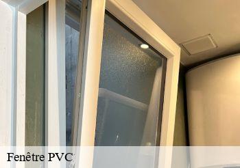 Fenêtre PVC  93430