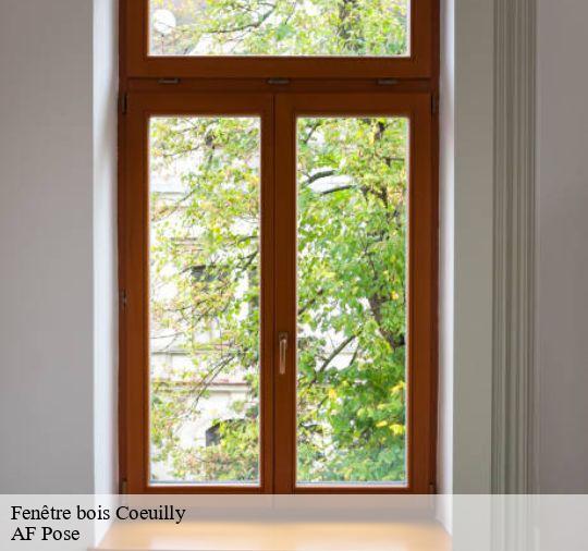 Fenêtre bois  94500