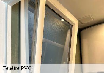 Fenêtre PVC  94520