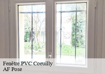 Fenêtre PVC  94500