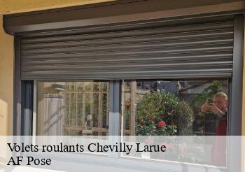 Volets roulants  94550