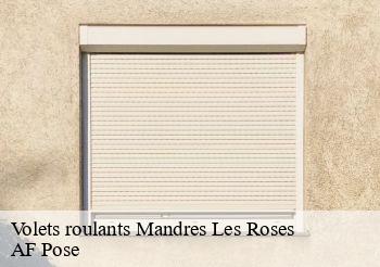 Volets roulants  94520