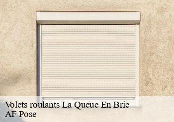 Volets roulants  94510