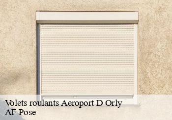 Volets roulants  94390