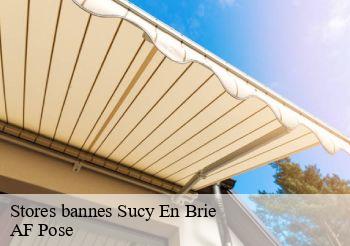 Stores bannes  94370