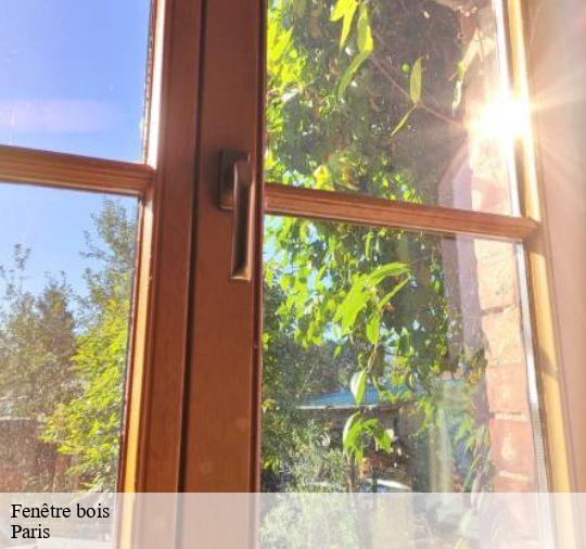 Fenêtre bois Paris 