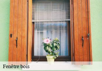 Fenêtre bois Paris 