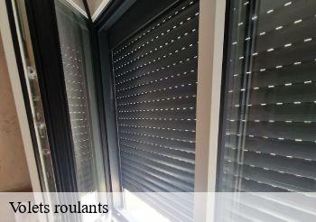 Volets roulants Paris 